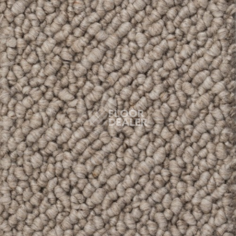 Ковролин Creatuft Titan 35 Beige фото 1 | FLOORDEALER