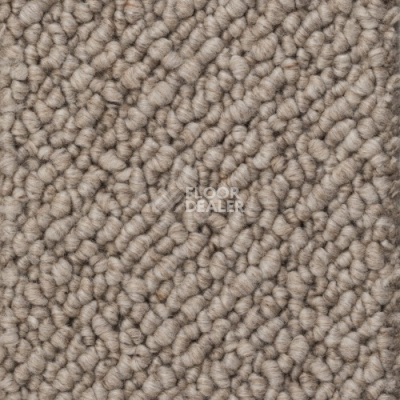 Ковролин Creatuft Titan 35 Beige фото 1 | FLOORDEALER