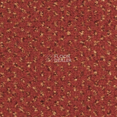 Ковролин Balsan Signature Confort + 567 фото 1 | FLOORDEALER