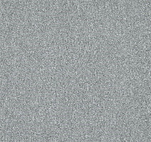 Ковровая плитка Interface Heuga 727 New 2022 4122120 Platin sd фото 1 | FLOORDEALER