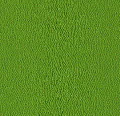 Ковровая плитка Westbond Ibond зеленая гамма 9565 фото 1 | FLOORDEALER