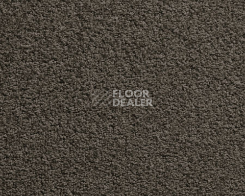 Ковролин Balta ITC Harmony 049 фото 1 | FLOORDEALER