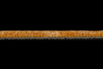 IVC Alternate 232 фото 4 | FLOORDEALER