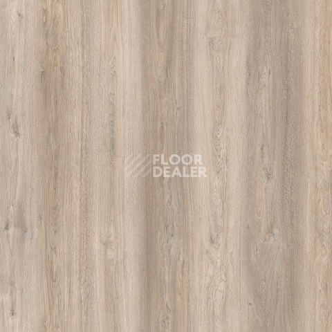 Пробковое покрытие Wood Resist Eco FDYF001   Ocean Oak фото 1 | FLOORDEALER
