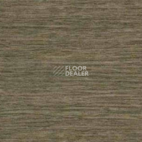 Плинтус Dollken EP 60/13 2983 фото 2 | FLOORDEALER