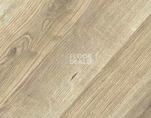 Kronopol Platinium Paloma AQUA BLOCK 8mm Kronopol Platinium Paloma Aqua Block 24h Дуб Марио D80184 фото 2 | FLOORDEALER