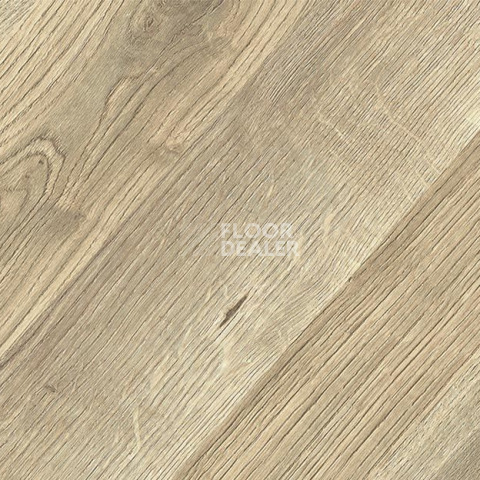 Kronopol Platinium Paloma AQUA BLOCK 8mm Kronopol Platinium Paloma Aqua Block 24h Дуб Марио D80184 фото 2 | FLOORDEALER