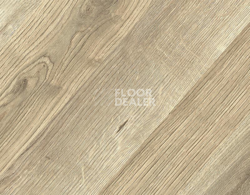Ламинат Kronopol Platinium Paloma AQUA BLOCK 8mm Kronopol Platinium Paloma Aqua Block 24h Дуб Марио D80184 фото 2 | FLOORDEALER