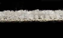 AW Masquerade Certosa 49 фото 4 | FLOORDEALER