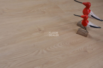 Evofloor Optima Click 4.2мм Дуб Гавана фото 4 | FLOORDEALER