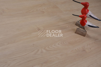 Evofloor Optima Click 4.2мм Дуб Гавана фото 4 | FLOORDEALER