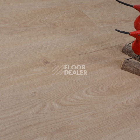 Evofloor Optima Click 4.2мм Дуб Гавана фото 4 | FLOORDEALER