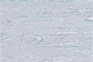 Линолеум Polyflor 2000 Pur 8650 фото  | FLOORDEALER