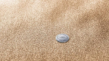 Ковролин Vorwerk Essential 1076 Vorwerk 1n57 фото 1 | FLOORDEALER