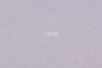 Линолеум Forbo Marmoleum Solid Walton 3363-336335 lilac фото 1 | FLOORDEALER