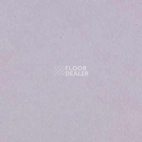Линолеум Forbo Marmoleum Solid Walton 3363-336335 lilac фото 1 | FLOORDEALER