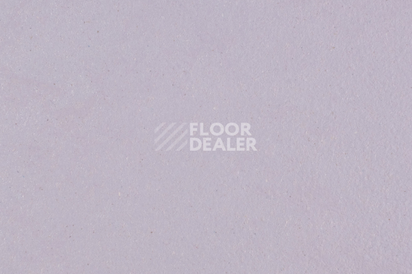 Линолеум Forbo Marmoleum Solid Walton 3363-336335 lilac фото 1 | FLOORDEALER