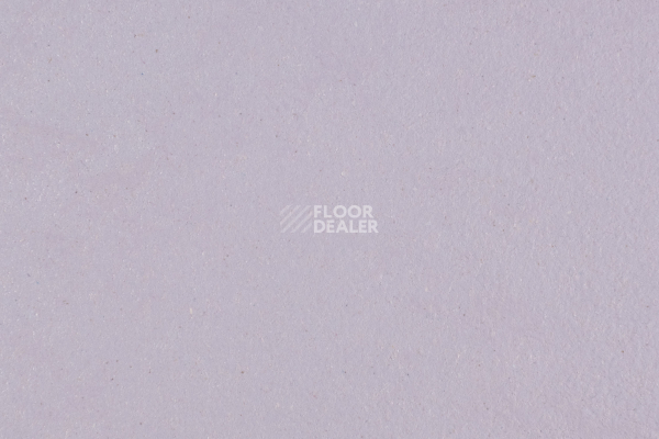 Линолеум Forbo Marmoleum Solid Walton 3363-336335 lilac фото 1 | FLOORDEALER