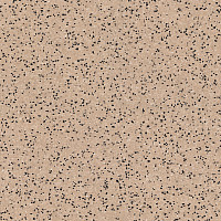 Линолеум Tarkett iq Era sc 802 фото 1 | FLOORDEALER