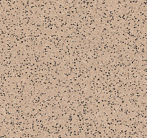 Линолеум Tarkett iq Era sc 802 фото 1 | FLOORDEALER