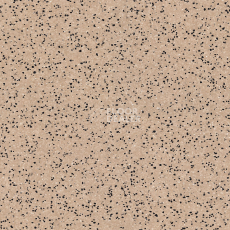 Линолеум Tarkett iq Era sc 802 фото 1 | FLOORDEALER