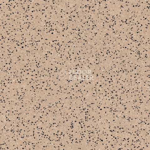 Линолеум Tarkett iq Era sc 802 фото 1 | FLOORDEALER