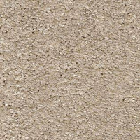 Ковролин AW Adoration 33 фото 1 | FLOORDEALER