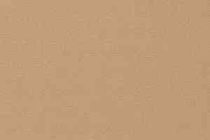 Ковролин Vorwerk Passion 1021 Vorwerk 1m40 фото  | FLOORDEALER