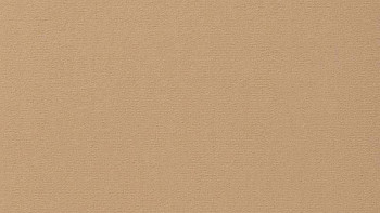 Ковролин Vorwerk Passion 1021 Vorwerk 1m40 фото 1 | FLOORDEALER