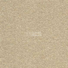 Ковролин AW Brilliant 35 фото 1 | FLOORDEALER