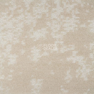 Ковролин 2640 520 фото 1 | FLOORDEALER