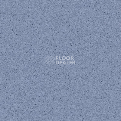 Линолеум Tarkett Primo Plus Marine 309 фото 1 | FLOORDEALER