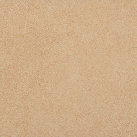 Линолеум Taralay Initial Compact (Plain & allover look) 0950 Miami Sable фото 1 | FLOORDEALER