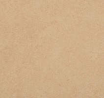 Линолеум Taralay Initial Compact (Plain & allover look) 0950 Miami Sable фото 1 | FLOORDEALER