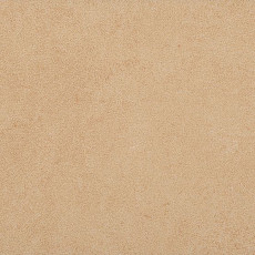 Линолеум Taralay Initial Compact (Plain & allover look) 0950 Miami Sable фото 1 | FLOORDEALER