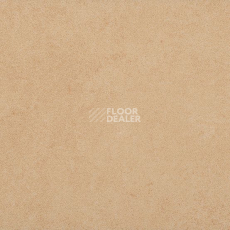 Линолеум Taralay Initial Compact (Plain & allover look) 0950 Miami Sable фото 1 | FLOORDEALER