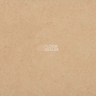 Линолеум Taralay Initial Compact (Plain & allover look) 0950 Miami Sable фото 1 | FLOORDEALER