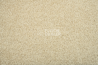 Standard Carpets Mountain View 4393 фото 2 | FLOORDEALER