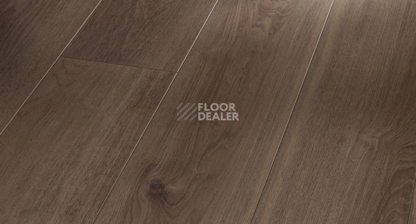 Ламинат Parador Trendtime 6 1371174 Дуб Копченый Известняк фото 1 | FLOORDEALER