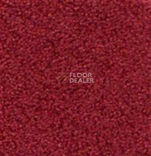 Ковролин Infloor Cashmere 160 фото 1 | FLOORDEALER