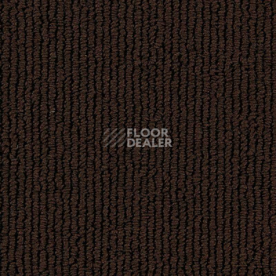 Ковролин Edel Gloss 173 фото 1 | FLOORDEALER