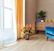 Alpine Floor Sequoia (LVT) Секвойя Калифорния ЕСО 6-6 LVT фото 2 | FLOORDEALER