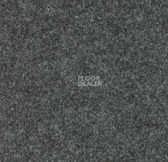 Ковролин Forbo Forte 96009 Charcoal фото 1 | FLOORDEALER