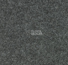 Ковролин Forbo Forte 96009 Charcoal фото 1 | FLOORDEALER