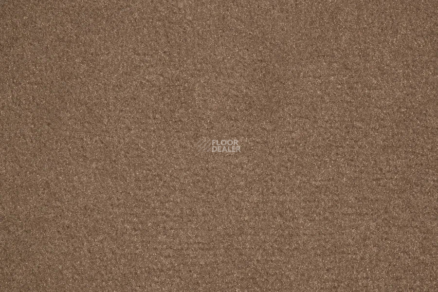 Vorwerk Passion 1000/Modena Vorwerk 7f82 фото 2 | FLOORDEALER