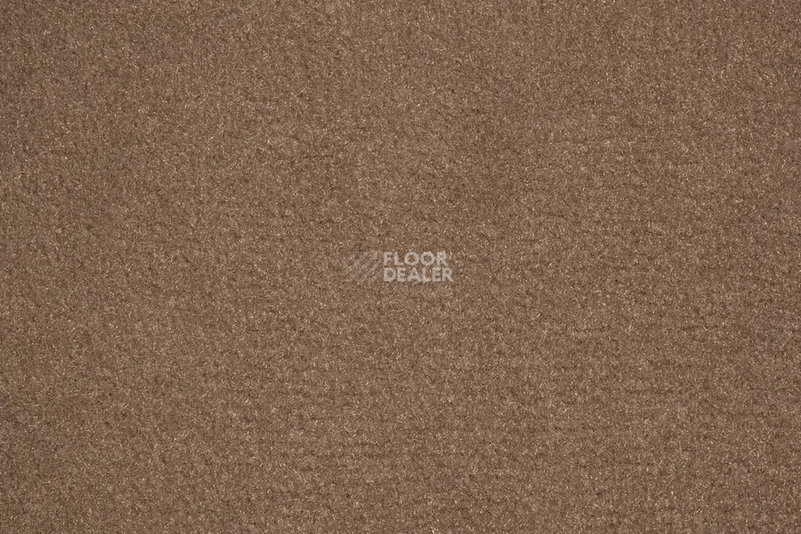 Vorwerk Passion 1000/Modena Vorwerk 7f82 фото 2 | FLOORDEALER