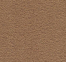 Ковролин Desso Marathon 2054 фото 1 | FLOORDEALER