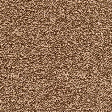 Desso Marathon 2054 фото 1 | FLOORDEALER