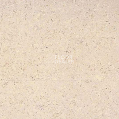 Eco Cork замковое Madeira White фото 2 | FLOORDEALER