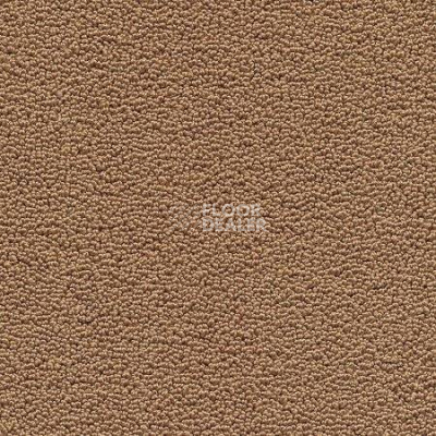 Ковролин Desso Marathon 2054 фото 1 | FLOORDEALER